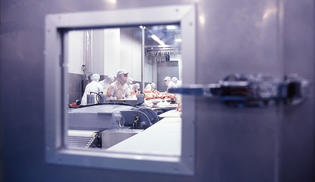 仲卸 コシヅカの目利き・職人の技